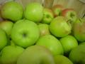 Mutsu apples